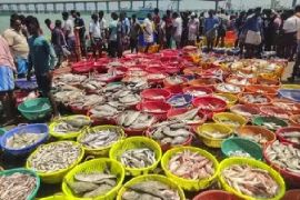 India’s Seafood Exports Reach Record Level in FY 2025–26 (MPEDA Report)